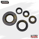 RETENES DE MOTOR YBR 125 XTZ 125