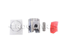 PISTON COMPLETO BWS 100 .25