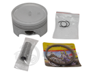PISTON COMPLETO 0.25 P/ GL 150 CARGO