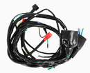 ARNES PRINCIPAL ATV 150 CUATRIMOTO CABLEADO CABLES