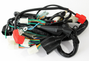 ARNES PRINCIPAL DM 150 ROJA CABLEADO CABLES