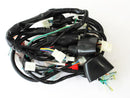 ARNES PRINCIPAL 200Z  CABLEADO CABLES