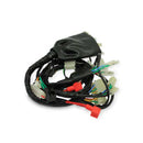 ARNES PRINCIPAL DM 250 (20-23') CABLEADO CABLES
