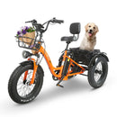 TRICICLO ELÉCTRICO HONEY WHALE S13 BATERÍA 48V/15AH MOTOR 800W COLOR AMARILLO