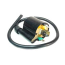 BOBINA DE ENCENDIDO 12 P/ NAVI 110