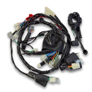 ARNES PRINCIPAL P/ DM 300 2025