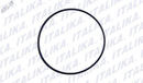 ORING CUBIERTA IZQUIERDA 170Z 200Z