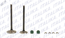 VALVULAS ADMISION/ESCAPE P/ EX 200 RT 200