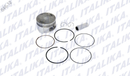 PISTON COMPLETO 0.25 P/ DS 150 WS 150 GS 150 TRN 150