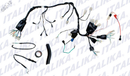 ARNES PRINCIPAL FT 150 DT 150SPORT CABLEADO CABLES
