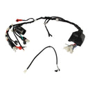 ARNES PRINCIPAL P/ DM 125 CABLEADO CABLES