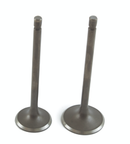 VALVULAS ADMISION/ESCAPE P/ FT 200 TC 200 FIERA 200