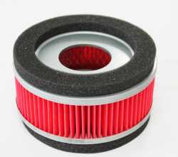 ELEMENTO FILTRO AIRE P/ DS 150 GS 150 XS 150