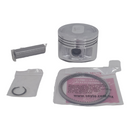 PISTON COMPLETO 0.25 P/ DM 200