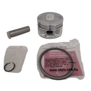 PISTON COMPLETO 0.25 P/ DM 200