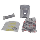 PISTON COMPLETO 0.25 P/ BWS 100