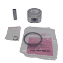 PISTON COMPLETO 0.25 P/ AT 110