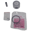 PISTON COMPLETO 0.25 P/ AT 110