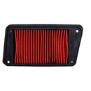 ELEMENTO FILTRO AIRE P/ GSC 175 GTS 175 WS 175 WS 150SPORT