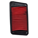 ELEMENTO FILTRO AIRE P/ GSC 175 GTS 175 WS 175 WS 150SPORT