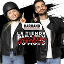 BALATAS DISCO FRENO DEL VIRAGO XV535