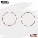 ANILLOS SAYTO P/ BWS 100 0.25 52.25